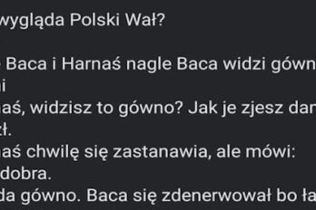 Dowcip: Jak wygląda Polski Wał