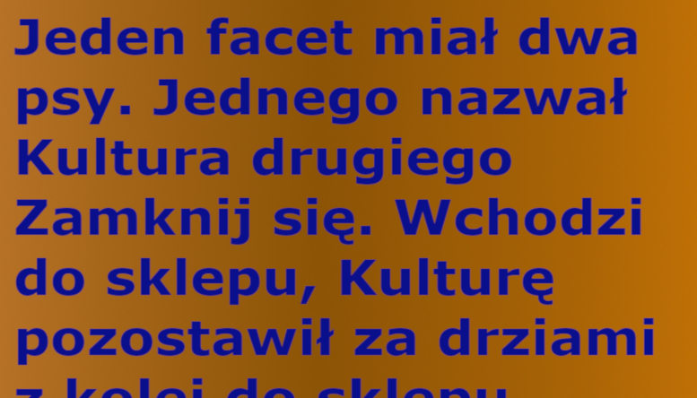 Dowcip: Jeden facet miał dwa psy